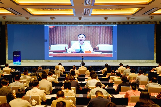 杨宇栋通过视频连线方式出席会议并讲话.jpg
